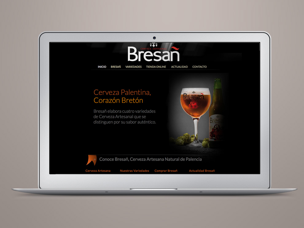Diseño web Castilla y León: Bresañ tienda online