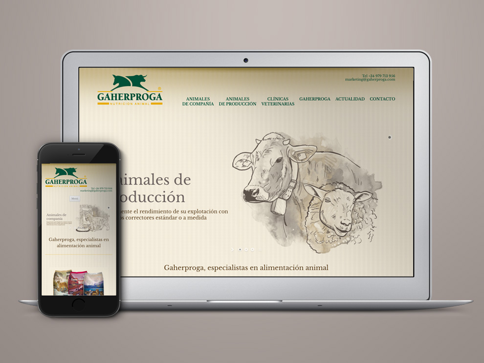 Gaherproga Palencia, diseño web